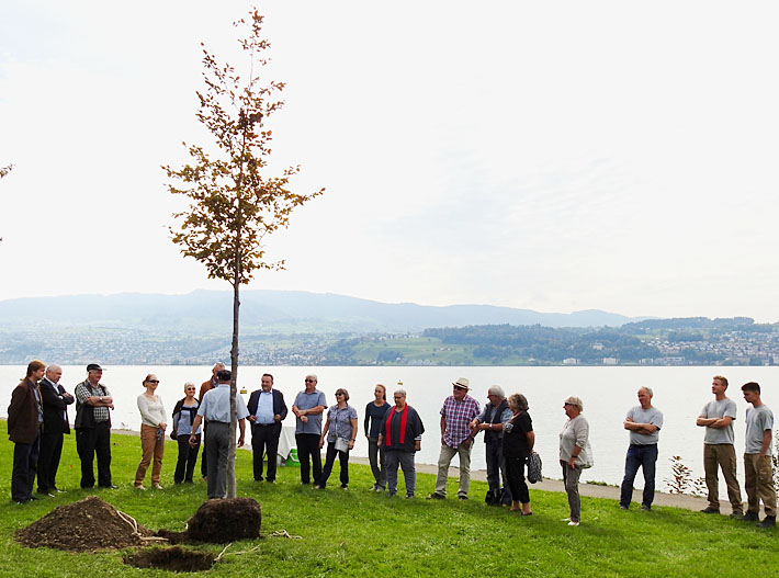 Donnerstag, 28. Sept. 2017: Vor der Einpflanzung der jungen Blutbuche, eine Spende der SP an die Gemeinde.